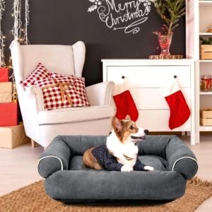 Banquette Lit Pour Chien 11