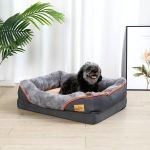 Lit Chien Memoire De Forme