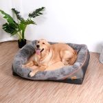 Lit Chien Memoire De Forme 2