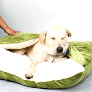 Lit Couvert Pour Chien 6
