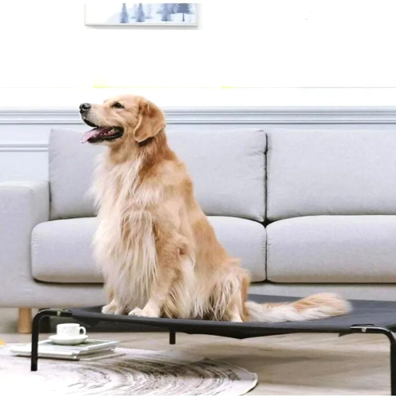 Lit Pour Chien Sureleve