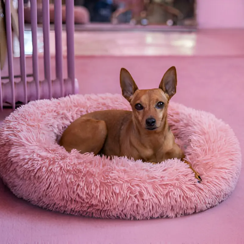 matelas-pour-chien